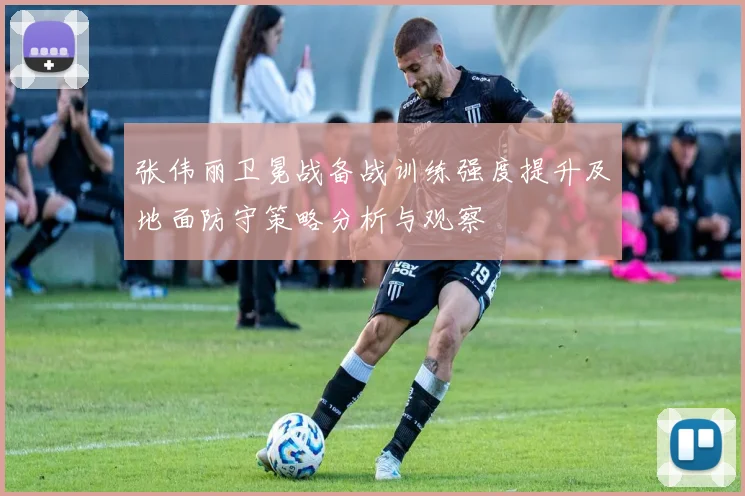 张伟丽卫冕战备战训练强度提升及地面防守策略分析与观察